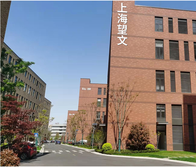 关于望文